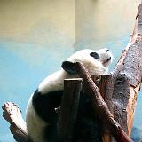 IMG 0555 - Version 2