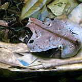 IMG 0588 - Version 2