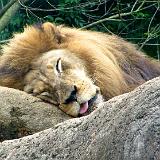 IMG 0612 - Version 2