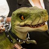 IMG 1901 : 2015, Fantasy, Midwest City, Oklahoma, Robot T-Rex, Science Fiction, SoonerCon 2015