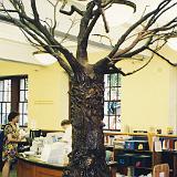 Children's Tree - 002-3 : 1998, Oregon