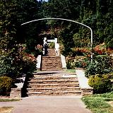 rose garden007-8 : 1998, Oregon, Portland, Rose Garden