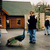 zoo 00 1-2 : 1998, Oregon, Portland, Zoo