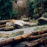 zoo 00 2-3 : 1998, Oregon, Portland, Zoo