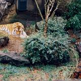 zoo 00 3-4 : 1998, Oregon, Portland, Zoo