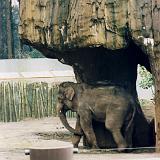 zoo 00 7-8 : 1998, Oregon, Portland, Zoo