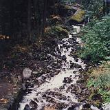 wahkeena falls-2 : 1998, Oregon, Water Fall Crawl