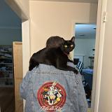 IMG 8733-exposure : Becky, Becky Kyle, Pets, Tennessee, Austin, 2025, Knoxville, Austin K13, Midnight Austin K13