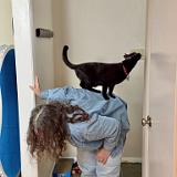 IMG 8760-exposure : Pets, Tennessee, Austin, 2025, Knoxville, Austin K13, Midnight Austin K13