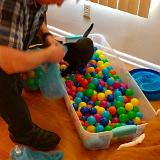 IMG E3057-0100 : Pets, Tennessee, 2019, Knoxxville, Austin K13, Ballpit