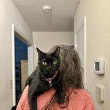 IMG E8531-exposure : Pets, Tennessee, Austin, 2025, Knoxville, Austin K13, Midnight Austin K13