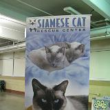 IMG 0910-2 : Cat Show, Knoxville, Tennessee