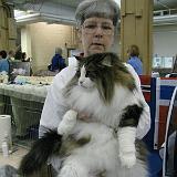 IMG 0927-9 : Cat Show, Knoxville, Tennessee