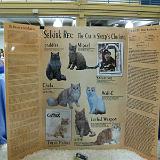 IMG 0955-19 : Cat Show, Knoxville, Tennessee
