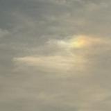 IMG 8144 : Knoxville, Sun Dogs, 2024