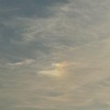 IMG E8143 : Knoxville, Sun Dogs, 2024