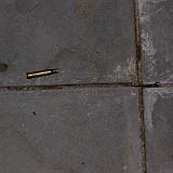 img 2009