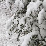 IMG 1512-3 : 2014, Knoxville, Snow, Tennessee