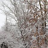 IMG 1518-5 : 2014, Knoxville, Snow, Tennessee
