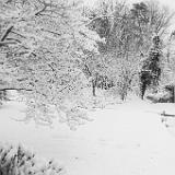 IMG 3176 : Knoxville, Tennessee, 2022, Snow, March 2022