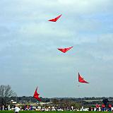 Kite Day 2003