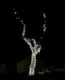 12030002
