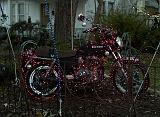 crw_7161